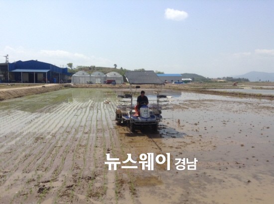 다평 이미지