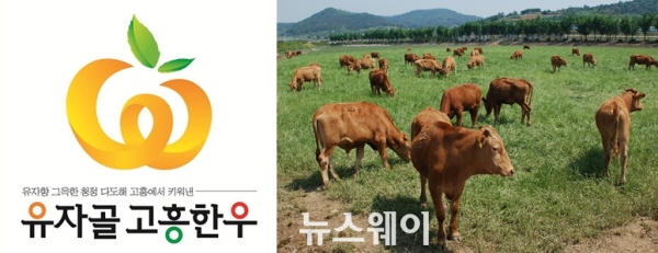 유자골고흥한우브랜드 이미지