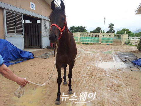 천해 이미지