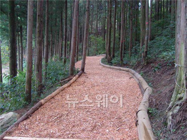 다방면 이미지