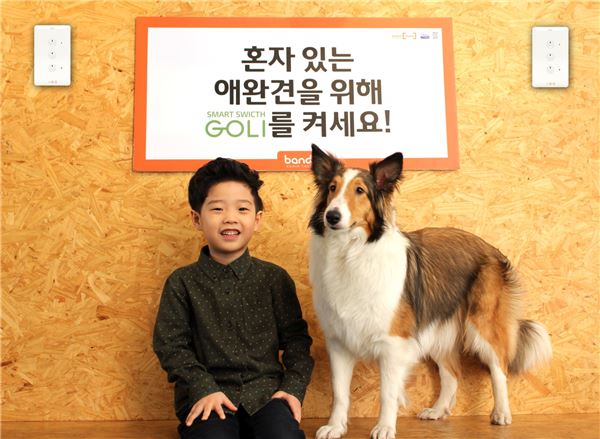 위해통신 이미지