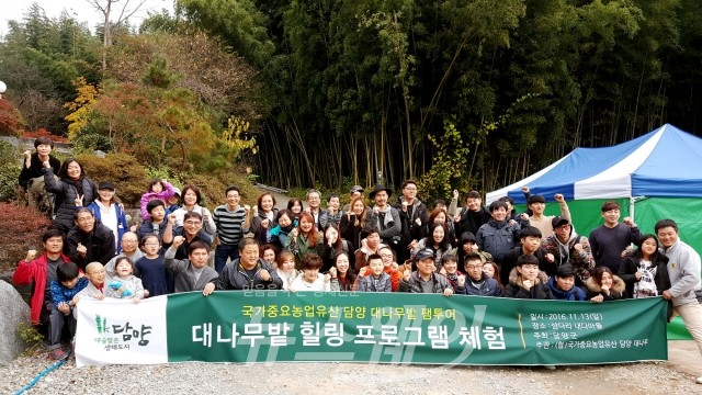 담양힐링체험 이미지