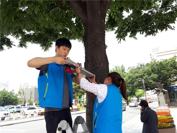 대구나무병원 이미지
