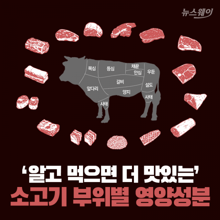 [카드뉴스]‘알고 먹으면 더 맛있는’ 소고기 부위별 영양성분 - 뉴스웨이