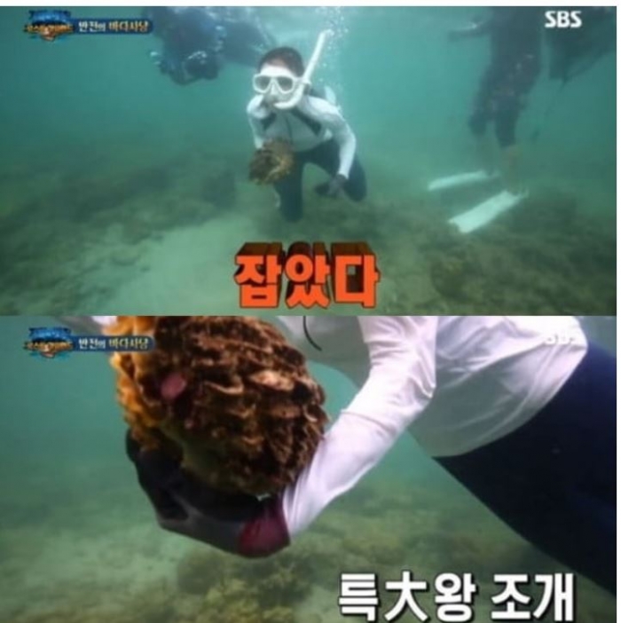 태국 경찰 정글의 법칙 본격 수사 착수 대왕조개 채취는 불법 뉴스웨이