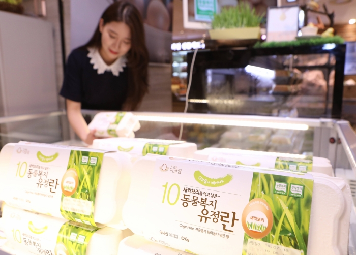 복지할인마트 이미지