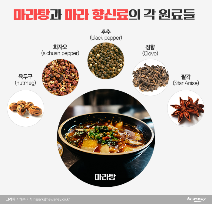 마라중독 이미지
