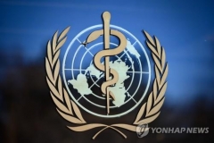 WHO "최소 12개국서 원숭이두창 감염자 80명 이상 확인"