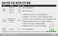 “朴·吳, 너도나도 재건축”···꿈에 부푼 강남 단지들