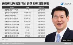 금감원, DLF 소송 항소 가닥···사모펀드 사태 CEO 제재 최종 결정 빨라질까