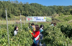 LX곡성구례지사, 농번기 농촌 일손봉사 실시