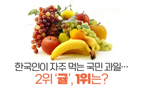 한국인이 자주 먹는 국민 과일···2위 ‘귤’, 1위는?