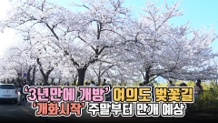 [뉴스웨이TV]'3년만에 개방' 여의도 벚꽃길···'개화시작' 주말부터 만개 예상