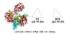 "코로나19 바이러스, 더 안정적 구조로 진화···전파력 커져"