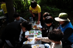 광주 남구, '생태 숲의 유혹' 탐방로 한바퀴