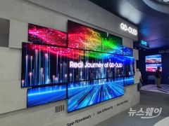 삼성·LG, 차세대 OLED 경쟁 불붙었다···정호영 "메가트렌드 성장에 파급력 커질 것"(종합)